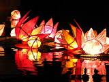 Lotus Diwali